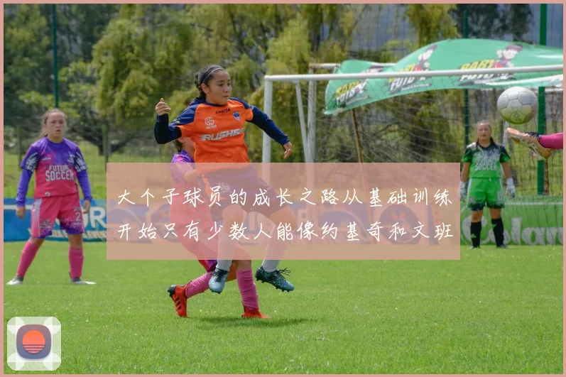 大个子球员的成长之路从基础训练开始只有少数人能像约基奇和文班那样成功