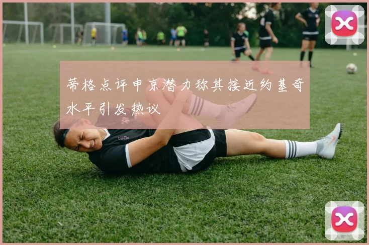 蒂格点评申京潜力称其接近约基奇水平引发热议